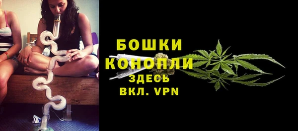 гидра Балахна