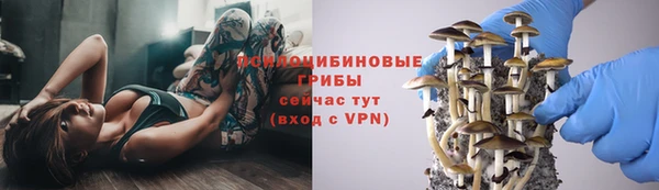 дмт Балабаново