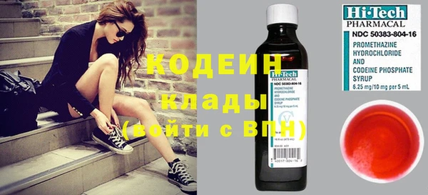индика Переславль-Залесский