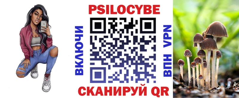 закладка  Сковородино  Псилоцибиновые грибы GOLDEN TEACHER 
